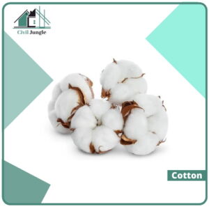 Cotton