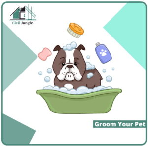 Groom Your Pet