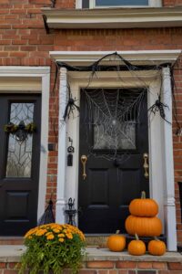 Cobweb Accents